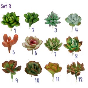 12er Set künstliche künstliche Sukkulenten Puppenhaus Miniatur Zubehör Ornament Pflanze Fee Garten Air Dry Clay Set A, B, C