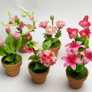 6 of Dollhouse Miniature Accessories Artificial Bright Pink Flowers in Terracotta Fairy Garden Ornament Plant 1:12 scale