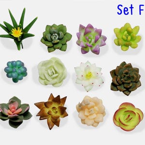 Miniaturas de suculentas artificiais: enfeites de jardim para casa de bonecas de argila de polímero - 12 peças