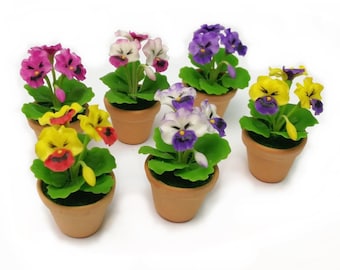 Pode incluir: Seis plantas em vaso em miniatura com flores coloridas. As flores são roxas, amarelas, brancas e cor-de-rosa. Os vasos são de terracota marrom.