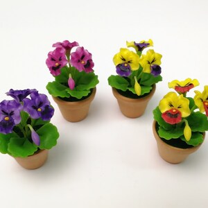 May include: Four miniature potted plants with colorful flowers. The plants are in terracotta pots and have green leaves. The flowers are purple, pink, yellow, and red.