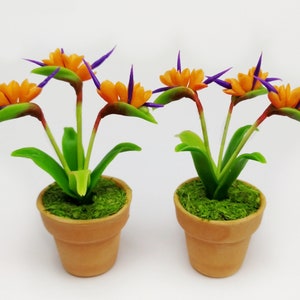2 pcs 1:12 scale Dollhouse Miniature Accessories Artificial Bird of Paradise Terracotta Fairy Garden Ornament Plant Decor