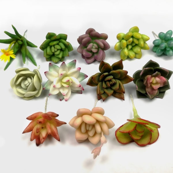 Set C Assorted 12 Artificial Fake Succulents Dollhouse Miniature Accessories Ornament Plant Fairy Garden Air Dry Clay