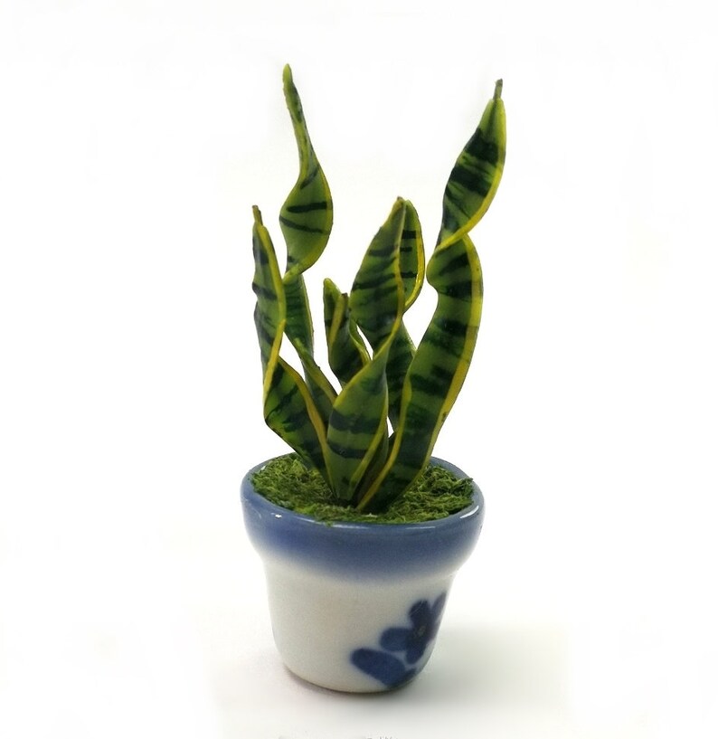 2 of Snake Plants in Glazed Ceramic Pots Dollhouse Miniature Etsy
