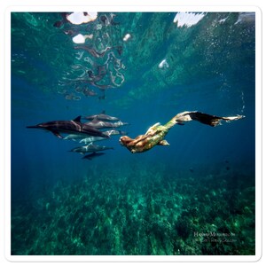 Sticker - Dolphin & Mermaid