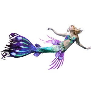 Autocollant Dragon Sirène 1