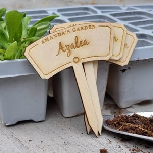 Wooden plant marker, personalised garden plant stake, custom plant label, flower gift tag, gardening accessories, gift for gardener