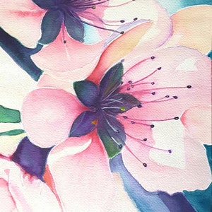 Dipinto originale ad acquerello di fiori di ciliegio rosa su carta Arches, arte floreale da parete, 26 x 36 cm, opera d'arte unica nel suo genere.