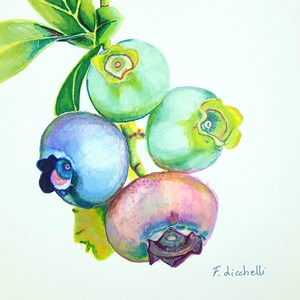 Dipinto Con Mirtilli Disegno Originale Frutti Di Bosco Etsy