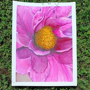 Dipinto di fiori di anemone rosa, guazzo e tecnica mista su carta, arte murale botanica, opera d'arte floreale originale di Francesca Licchelli, arte floreale