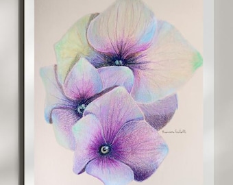 Dibujo de hortensia a lápiz de color, arte floral para pared, decoración botánica morada