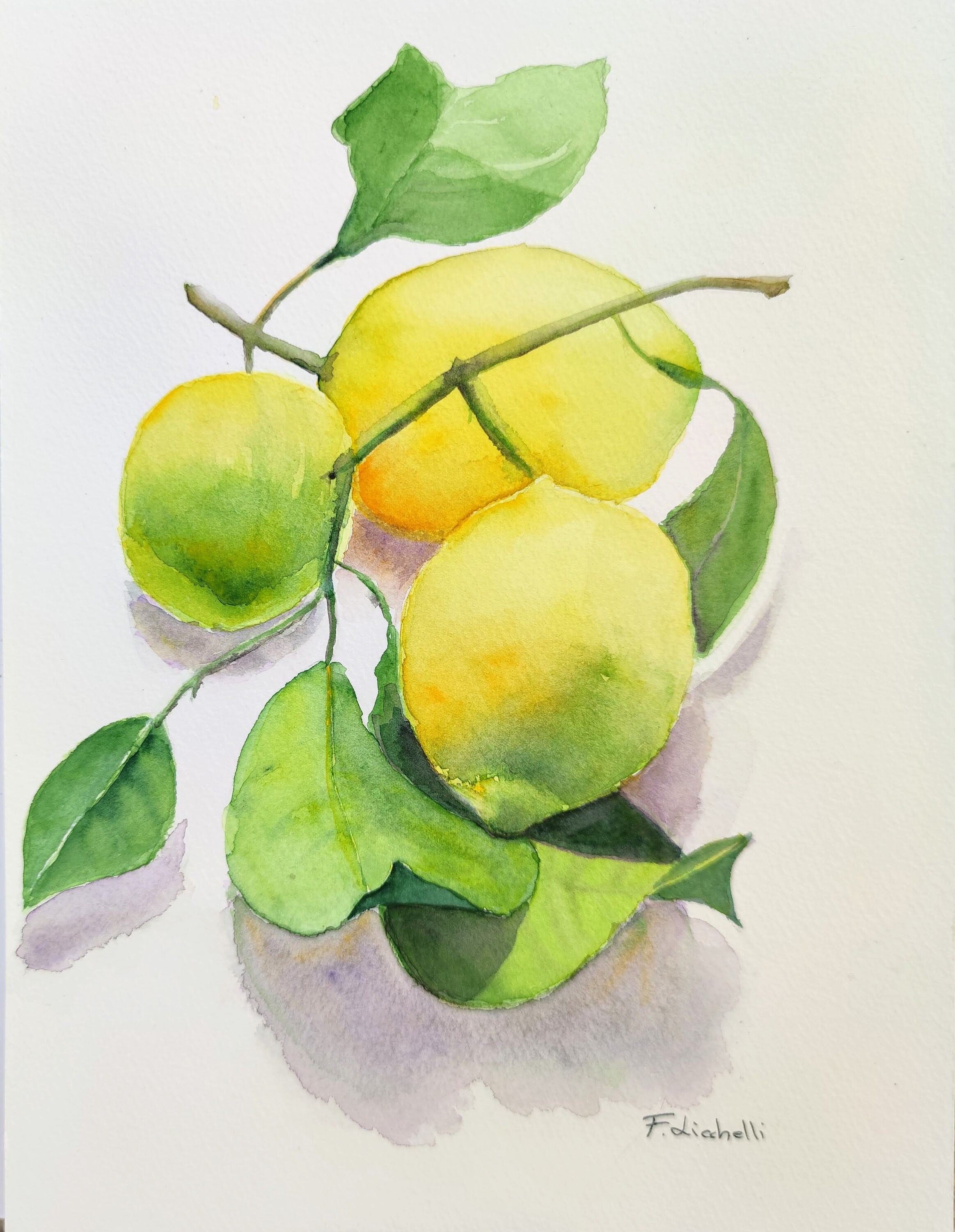 Lemon Watercolor Original Painting Still Life Lemons With Etsy