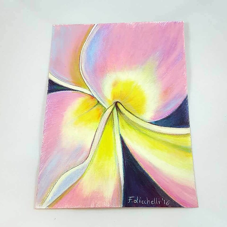 contemporary art floral pink plumeria alba drawing. macro flower colored pencils and soft pastels on paper Frangipani original drawing
