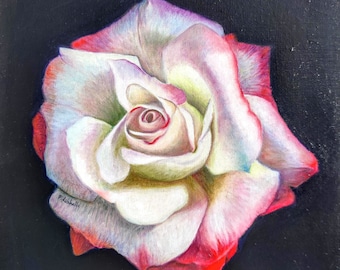 Rose original oil painting white rose canvas art oil on canvas floral flower wall art square painting original rainbow rose picture bedroom.