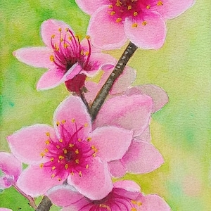 Peach Blossom Watercolor Painting, Original Pink Floral Art, 7x10 Spring Botanical Wall Decor, Japanese Style Art, Sakura Painting Gift