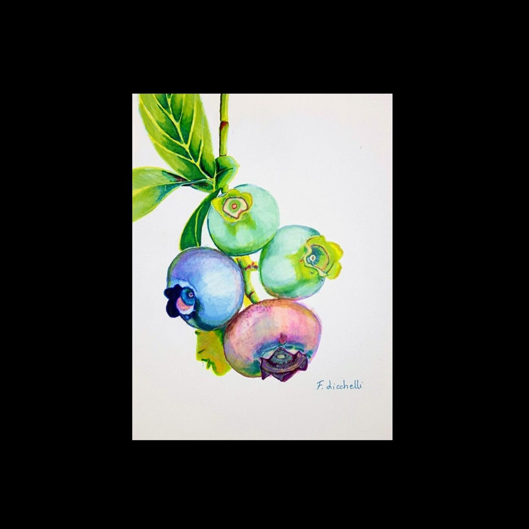 Berries Poster Colored Blueberry Print Branch of Berries - Etsy