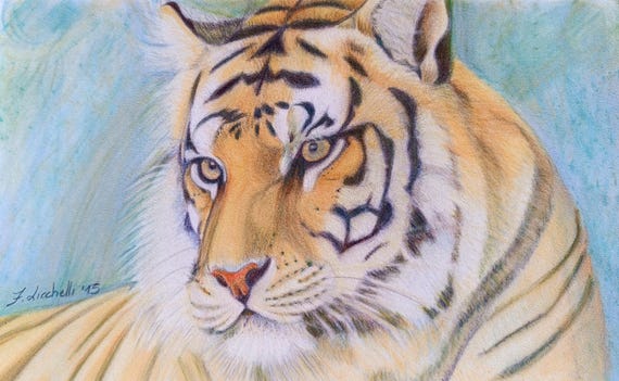 色鉛筆画A4 虎.21 色鉛筆画A4 虎.20 石周斎 в X: „