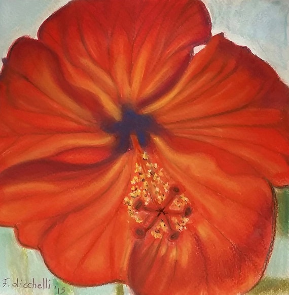 orange hibiscus flower drawing