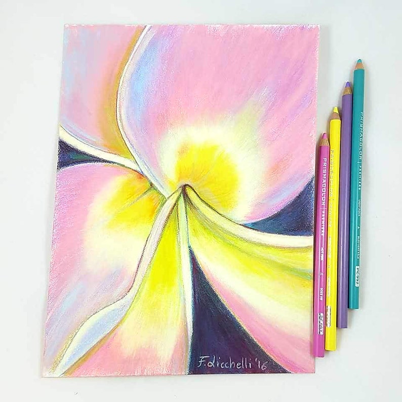 contemporary art floral pink plumeria alba drawing. macro flower colored pencils and soft pastels on paper Frangipani original drawing