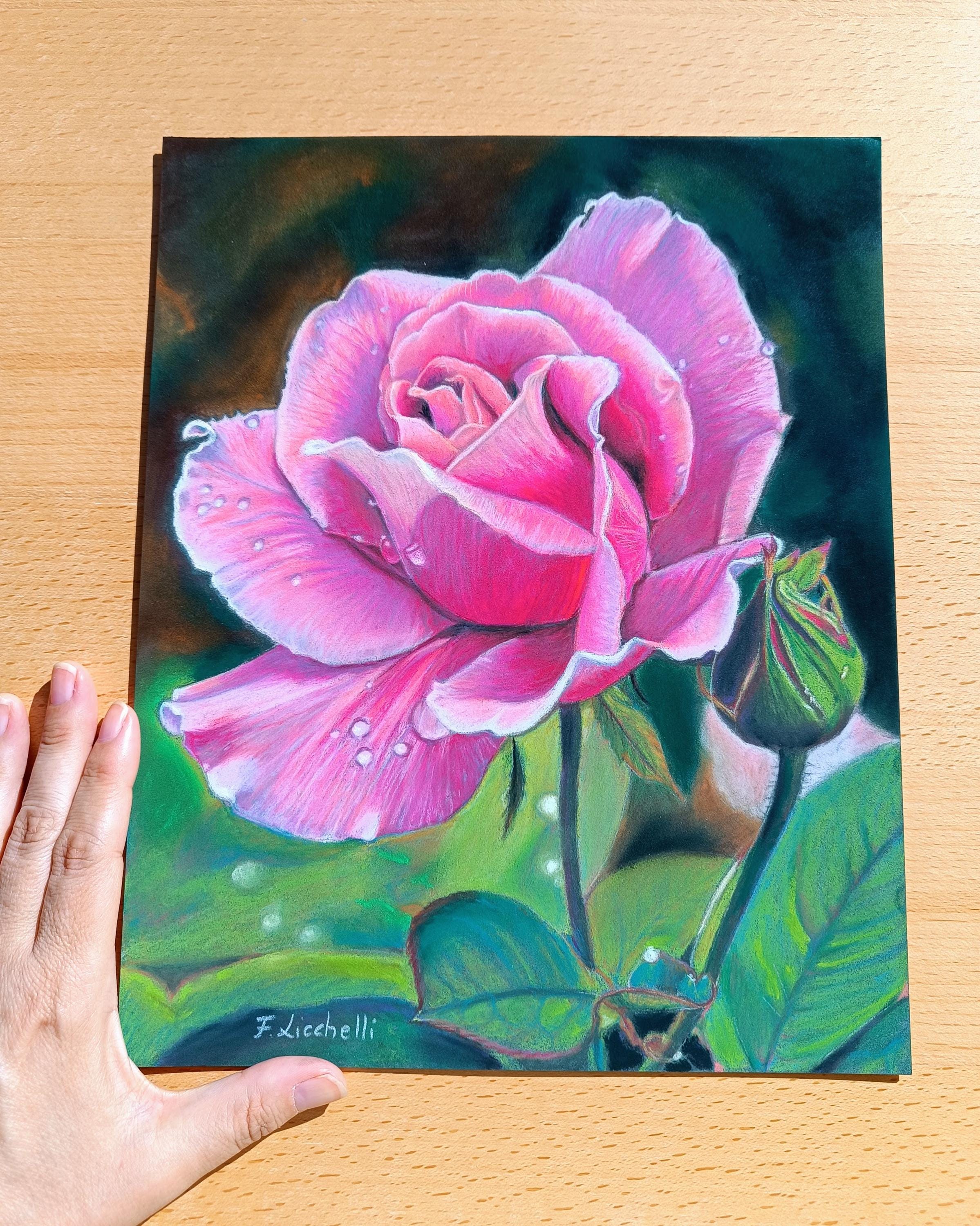 rose pink絵画3点 Buy Original Pink Rose Pastel Painting: Realistic Floral Still