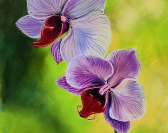 Orchid painting pastel original floral drawing soft pastel drawing purple orchid drawing purple green yellow painting bedroom wall art.