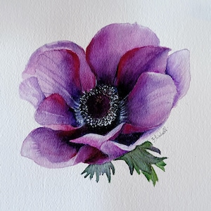 Original lila Anemone Aquarell Blumen auf Arches Papier – 20 x 20 cm Blumen Wandbild Einzelblume Gemälde