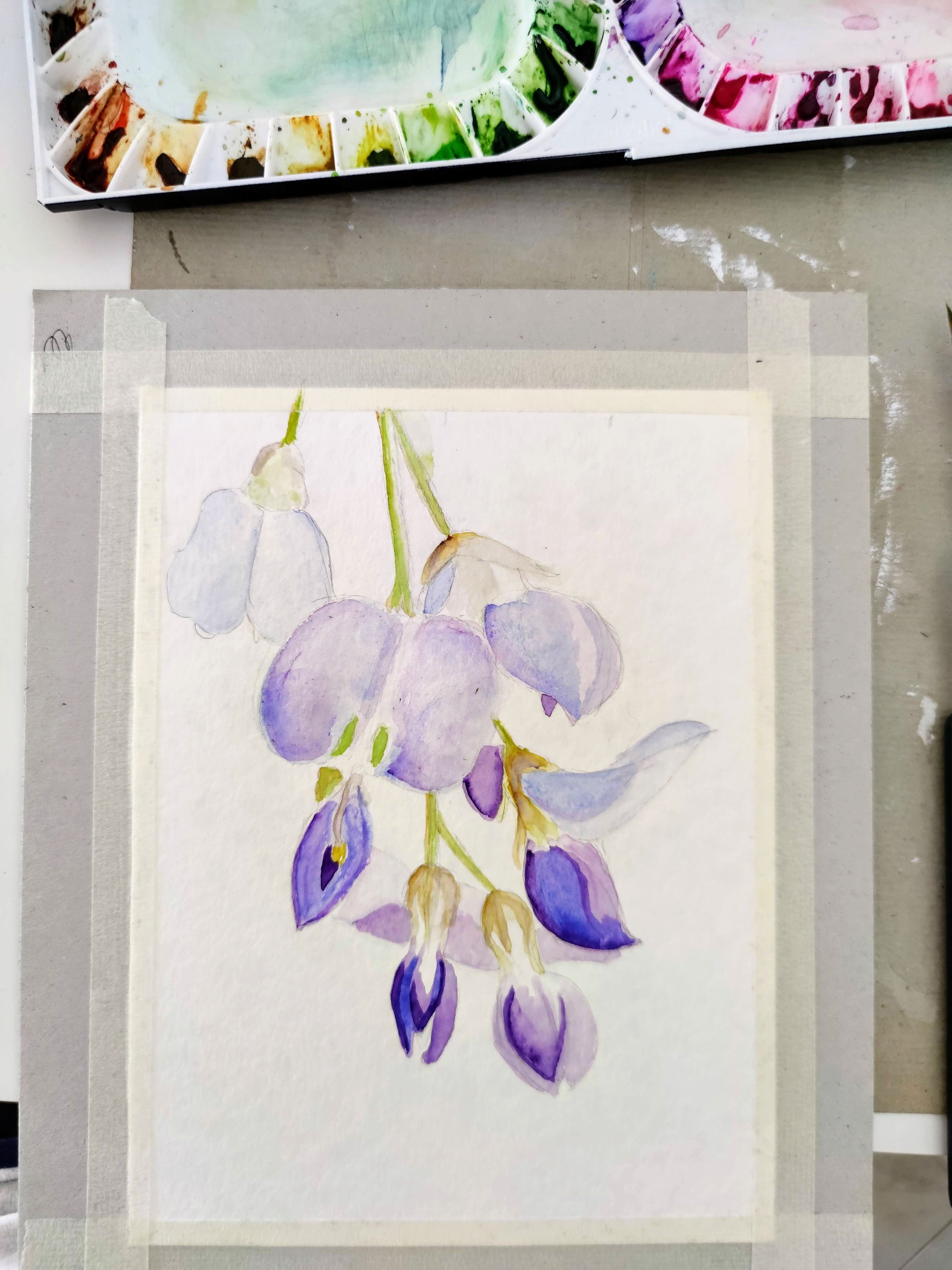 Wisteria Flower Watercolor Original, Branch of Wisteria Painting