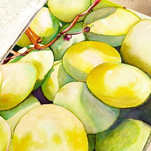 Grapes watercolor original painting yellow grapes painting green grapes wall art artwork for kitchen fruit painting still ife watercolor art image 10