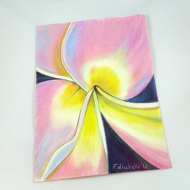 contemporary art floral pink plumeria alba drawing. macro flower colored pencils and soft pastels on paper Frangipani original drawing