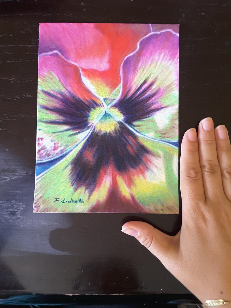 Pansy pastel drawing original painting soft pastels on velvet paper floral artwork macro pansy purple and red bedroom drawing pansy art.