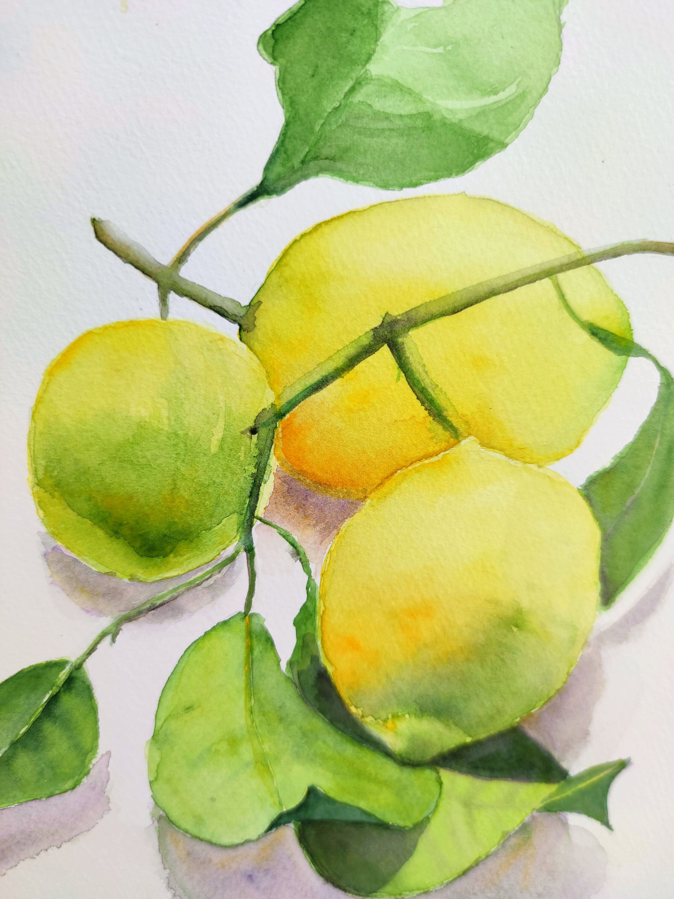 Lemon Watercolor Original Painting Still Life Lemons With Etsy