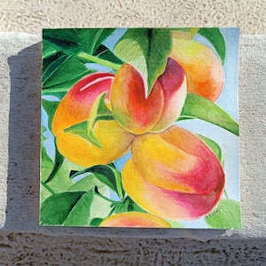 Peach watercolor peach tree painting square peach and leaves watercolor summer watercolor kitchen wall art fruit painting fruit watercolor image 2