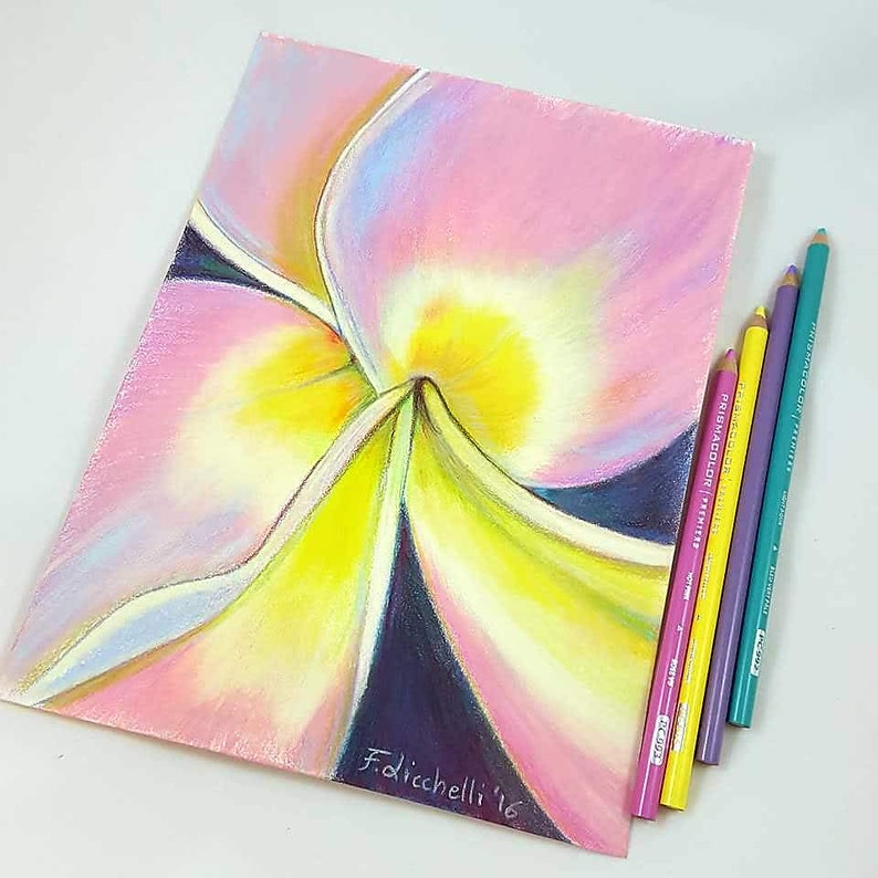 contemporary art floral pink plumeria alba drawing. macro flower colored pencils and soft pastels on paper Frangipani original drawing