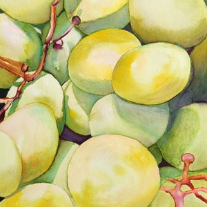 White Grapes Watercolor Painting: Still Life Kitchen Art on Amatruda Paper