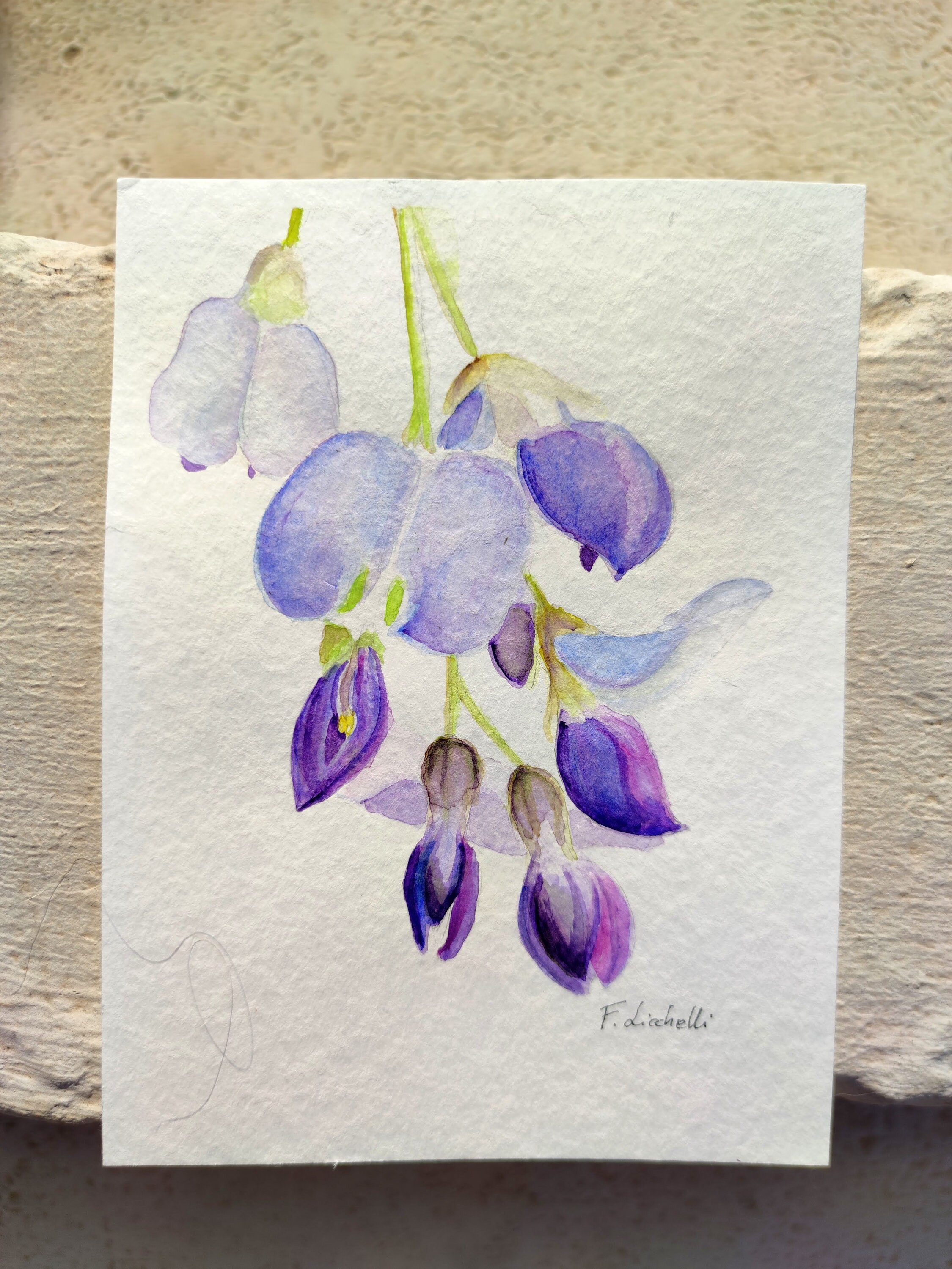 Wisteria Flower Watercolor Original, Branch of Wisteria Painting