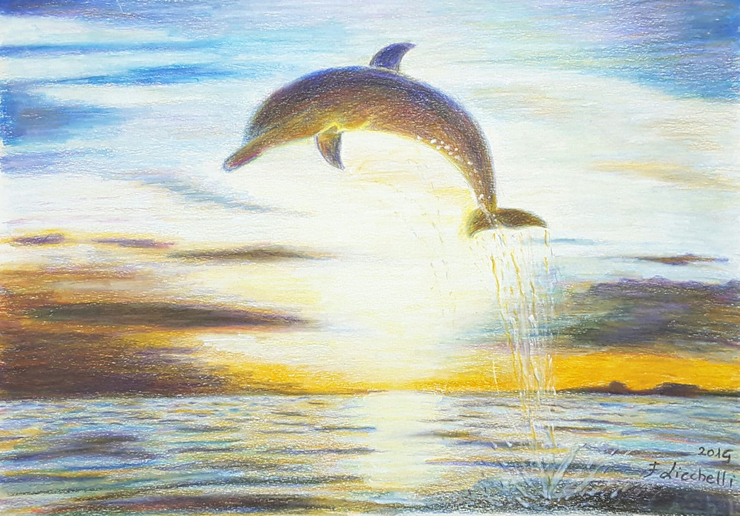 Dolphin Sketches - DolphinLeap.com