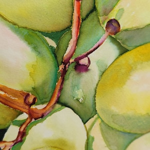 Aquarelle originale de raisins, peinture de raisins jaunes, peinture de raisins verts, oeuvre d'art murale pour la cuisine, peinture de fruits, aquarelle image 8