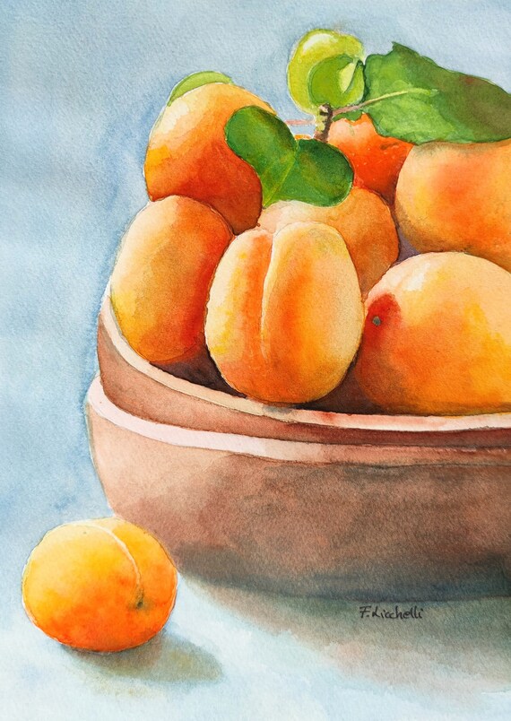 Apricot Watercolor Original Painting for Kitchen Apricot Still