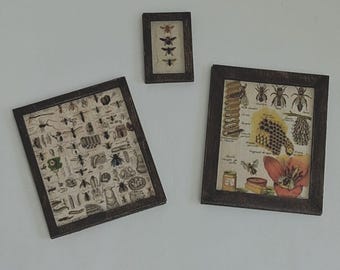 Framed Bee Chart Plaques - 1:12 Scale Dollhouse Miniatures
