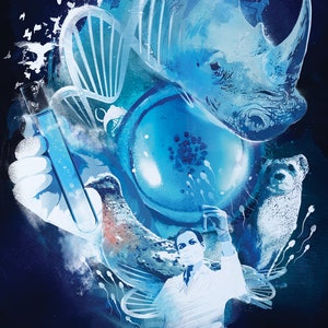 Scientific Rhino DNA double helix genetics cloning wildlife illustration collectable limited edition A3 poster print