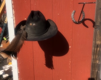 Horseshoe Cowboy Hat Racks