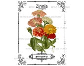 Digital Download Vintage Zinnia Flower Seed Packet Transfer Iron On Clip Art 1050