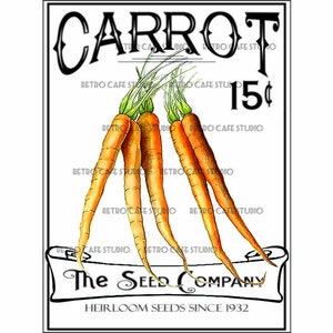 Pacote de sementes de cenoura com ilustração vintage Download digital de vegetais de jardim