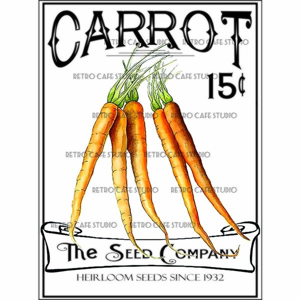 Vintage Illustration Carrot Seed Packet Digital Download Garden Vegetable