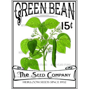 Vintage Illustration Garden Vegetable Green Bean Seed Packet Digital Download
