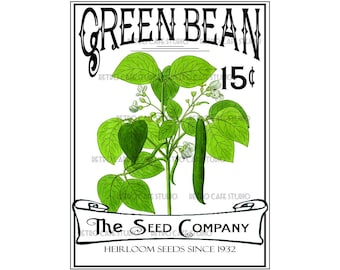Vintage Illustration Garden Vegetable Green Bean Seed Packet Digital Download