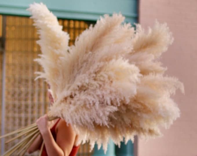 Pampas