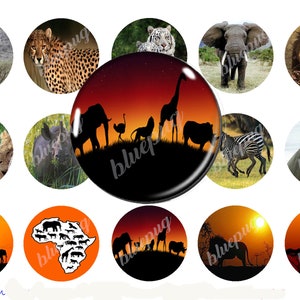 Könnte beinhalten: Ein Set mit 12 runden, glänzenden, bunten Aufklebern mit verschiedenen afrikanischen Tieren. Die Aufkleber zeigen eine Giraffe, einen Geparden, einen Löwen, einen Elefanten, ein Zebra, ein Nashorn, ein Flusspferd und eine Silhouette einer Sonnenuntergangsszene mit Tieren.