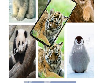 7 Baby Animals Mix Domino Images 1"x2" Photo Quality 4x6 Sheet Digtal Download Printable Necklace