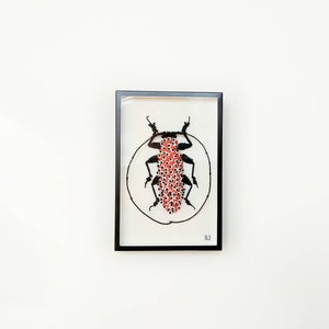 Marcelae Peritrox Lamarck c Insect Embroidery c Entomology Curiosity Cabinet Modern Embroidery c Art Textile image 1